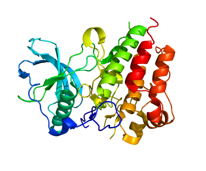 ملف:Protein CSF1R PDB 2I0V.png