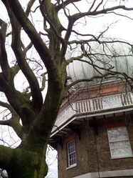 Dome of the Greenwich 28 inch refractor telescope and tree (2015)