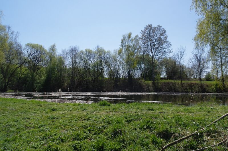 ملف:Křížov (Pravonín) (001).jpg