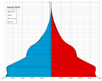 Kenya single age population pyramid 2020.png