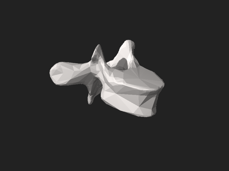 ملف:BodyParts3D FJ3169 Fifth thoracic vertebra.stl
