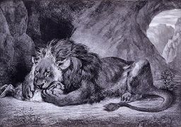 أسد الأطلس (فرنسية: Lion de l'Atlas)، رسم اوجين ديلاكروا، متحف سانت لويس للفن، 1829.