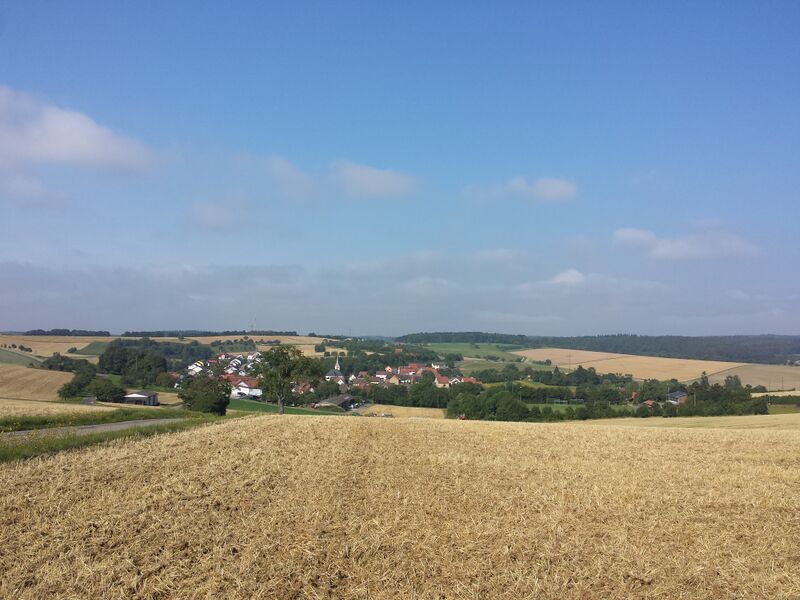 ملف:Heckfeld 2016.jpeg