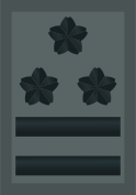 ملف:JASDF Colonel insignia (miniature).svg