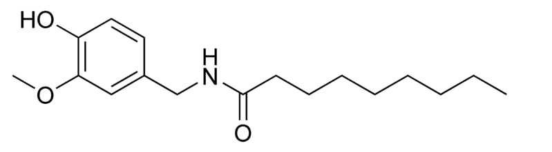 ملف:Nonivamide.png