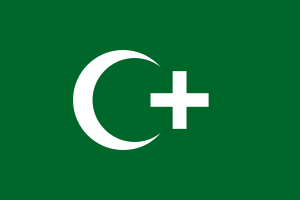 Revolution flag of Egypt 1919.svg