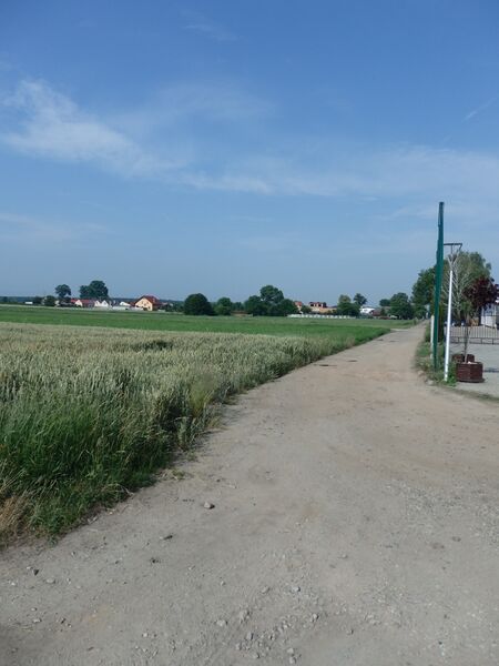 ملف:Sulmierzyce pkp.jpg