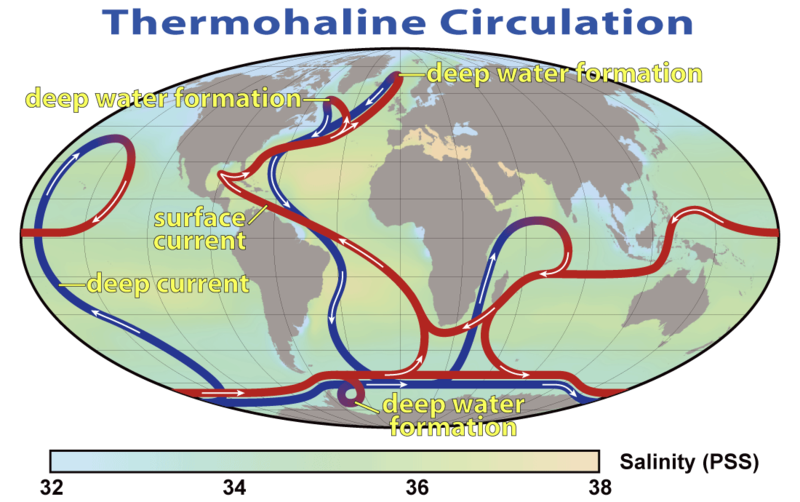 ملف:Thermohaline Circulation 2.png