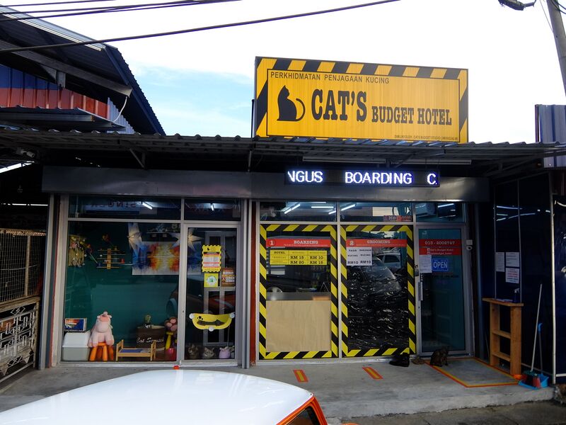 ملف:Cat's Budget Hotel.jpg