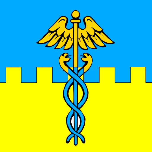 ملف:Flag of Rava-Rus'ka (variant).svg