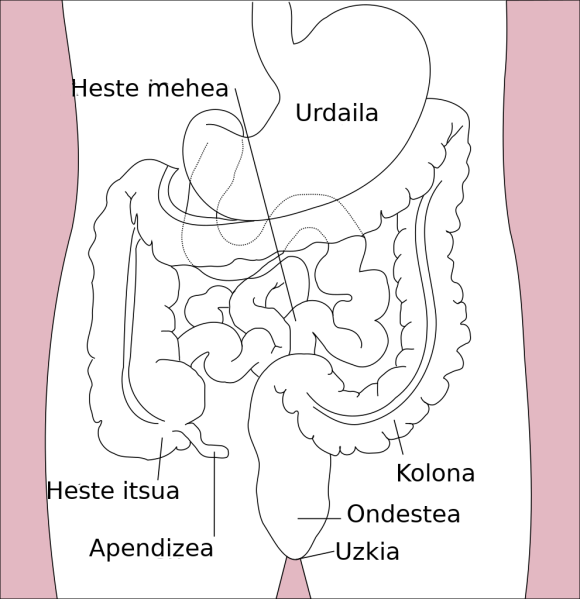 ملف:Liseriketa sistemaren diagrama-eu.svg