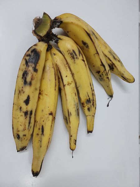 ملف:Ripe plantains.jpg