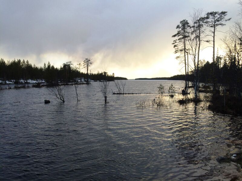 ملف:Нижнее Кумозеро.jpg