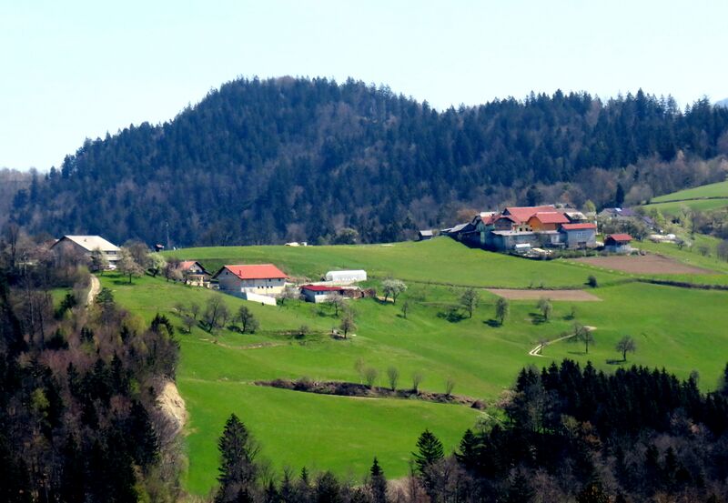 ملف:Blodnik Slovenia 2.jpg