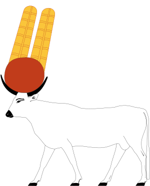 Buchis.svg