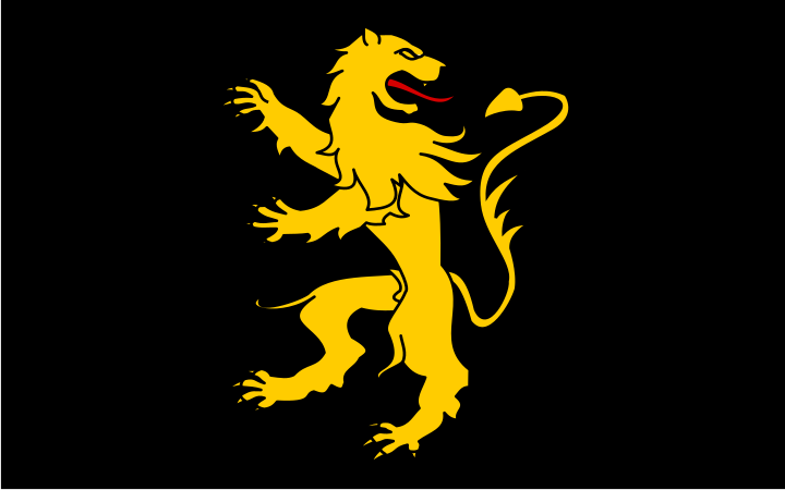 ملف:Flag of Ceredigion.svg