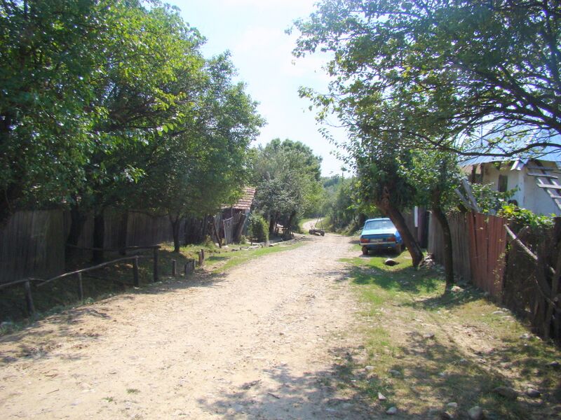 ملف:RO GJ Lintea.JPG