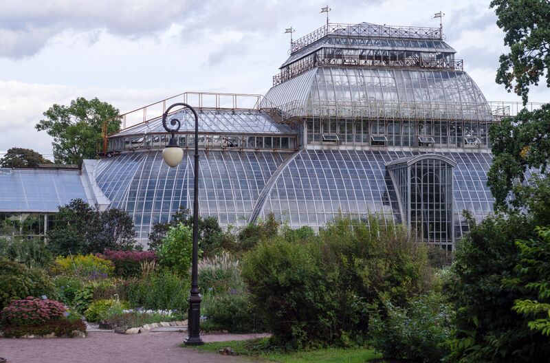 ملف:Ботанический сад БИН РАН.jpg