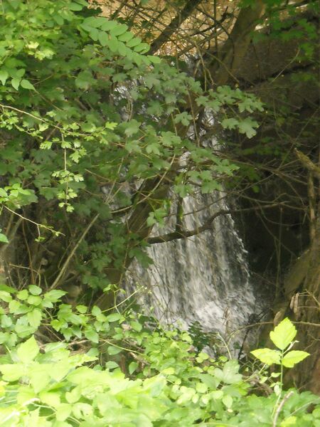 ملف:Banpatak vizeses.JPG