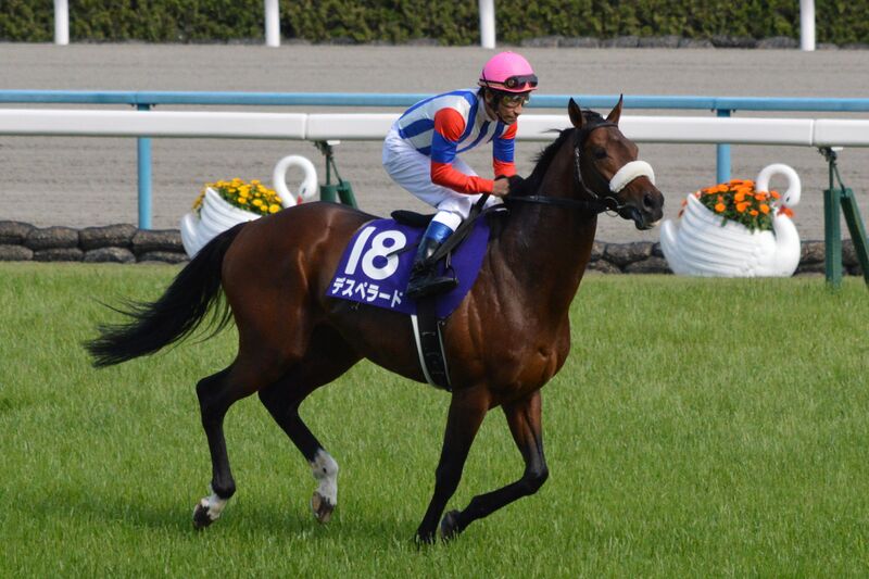 ملف:Desperado Tenno-Sho(Spring) 2014.jpg