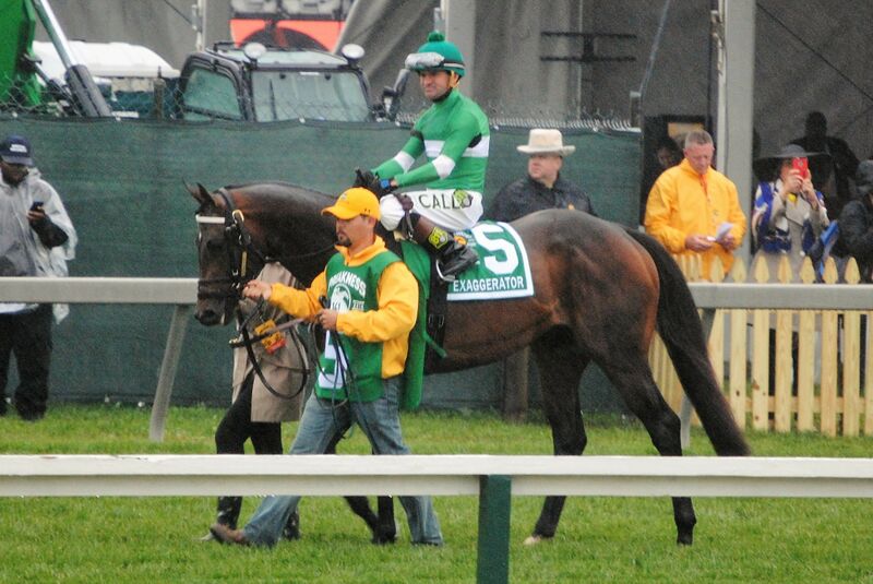 ملف:Exaggerator post parade.jpg