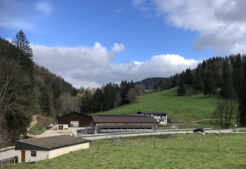 ملف:Le Pichoux.jpg