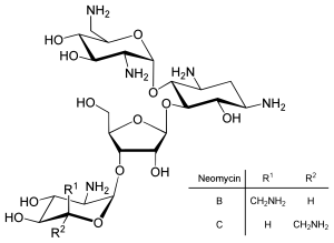 Neomycin B C.svg