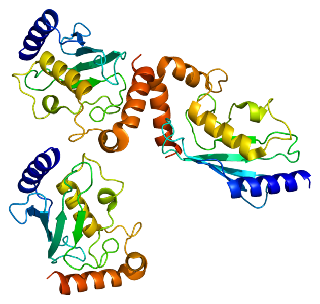 ملف:Protein UBE2E2 PDB 1y6l.png