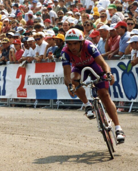 ملف:Javier MURGUIALDAY.jpg