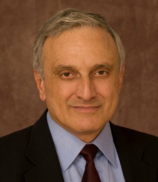ملف:Paladino Gubernatorial 2010.jpg
