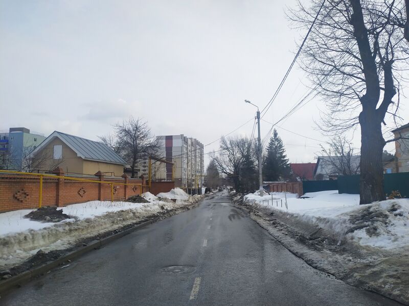 ملف:Timiryazeva street 20210322 165135.jpg