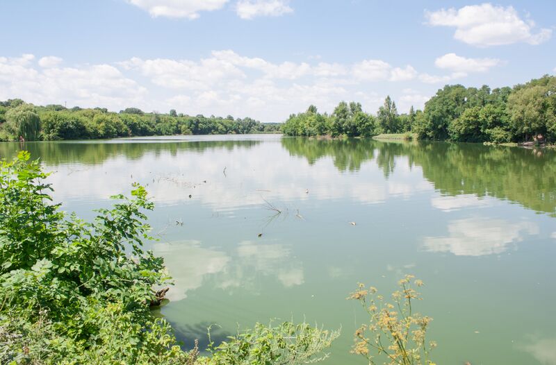 ملف:Скоморошки. Ставок.jpg