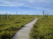 Kouchibouguac National Park (37124711561).jpg