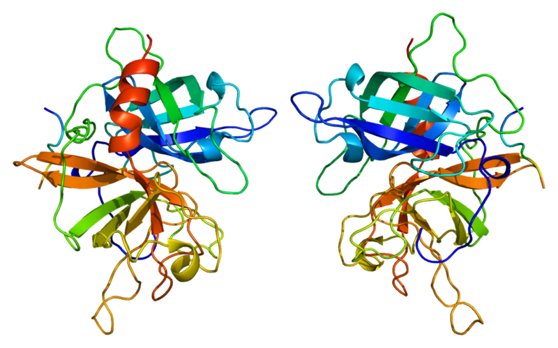 ملف:Protein PLAT PDB 1a5h.png