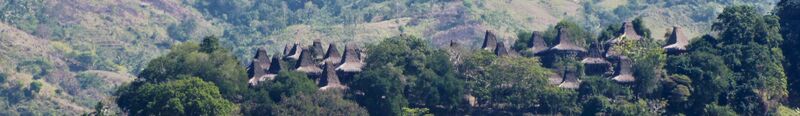 ملف:Sumba banner.jpg