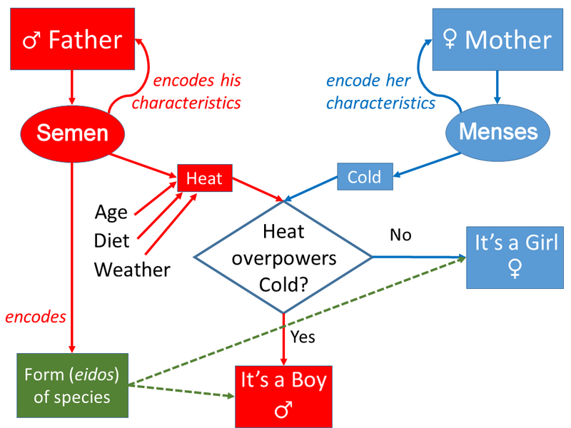 ملف:Aristotle's model of Inheritance.png