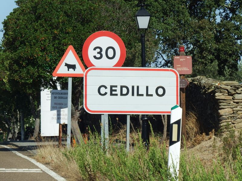 ملف:Cedillo MMXIX 01.jpg