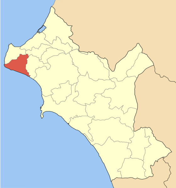 ملف:Dimos Vartholomiou.png