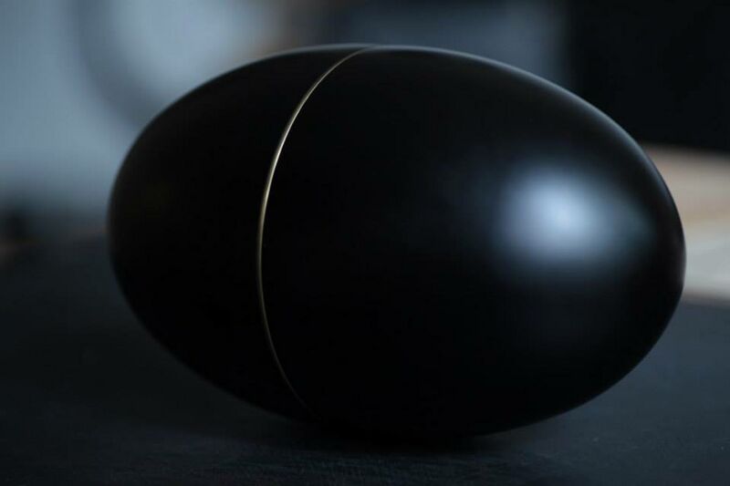 ملف:Huevo Fénix.jpg