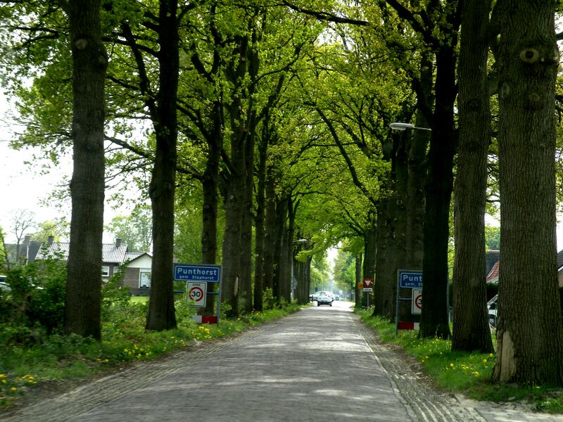 ملف:Punthorst-20090425.JPG