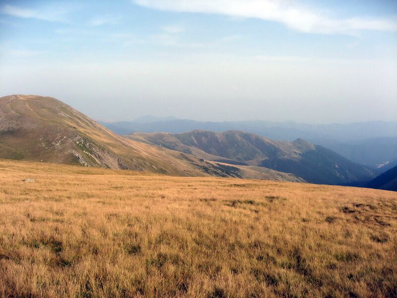 ملف:Godeanu (3).jpg