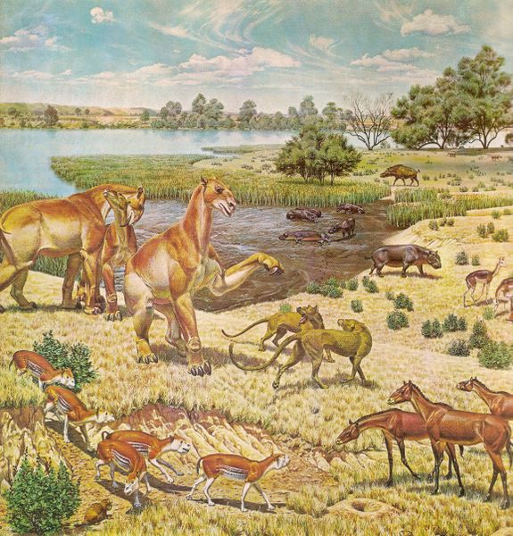 ملف:Miocene.jpg