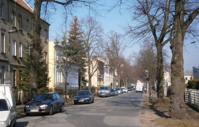 ملف:P3160397-Rosenthaler nird.JPG