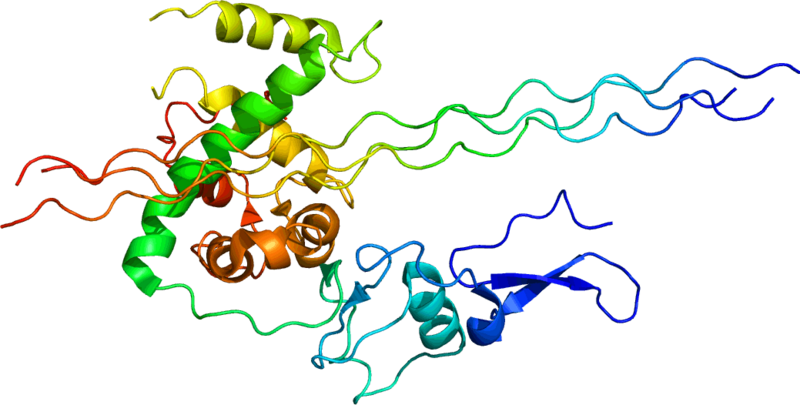 ملف:Protein COL3A1 PDB 2V53.png
