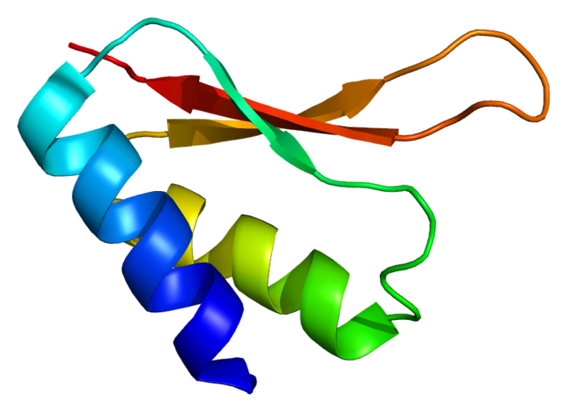 ملف:Protein IGHMBP2 PDB 1msz.png