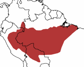صورة معبرة عن الموضوع قراز حاد المنقار