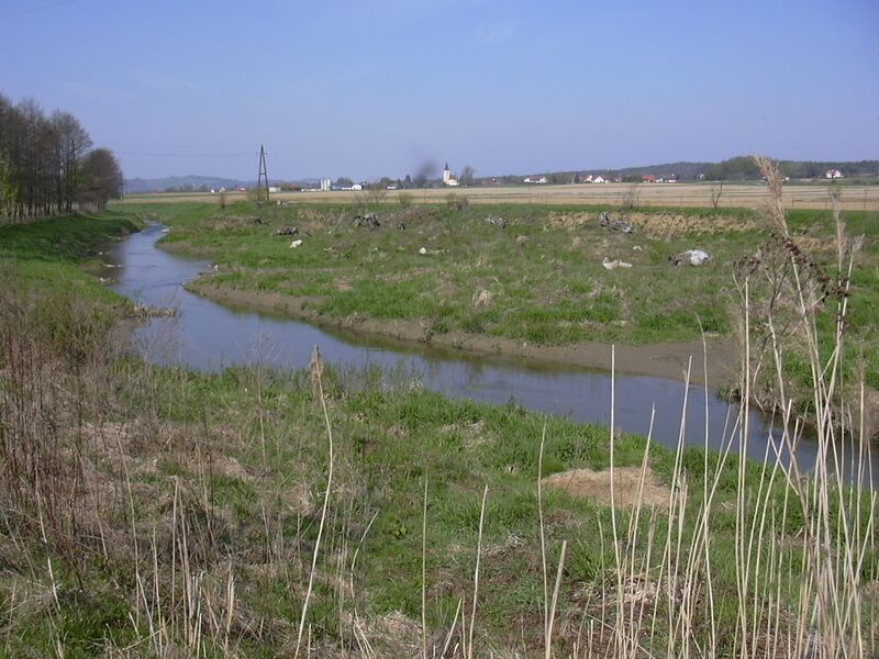 ملف:Rittschein biotob.JPG