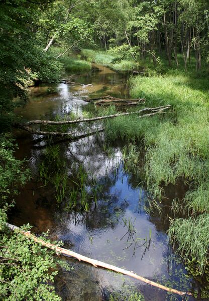 ملف:ZPK Kulawa 04.07.10 p.jpg