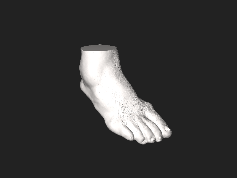ملف:3D foot.stl