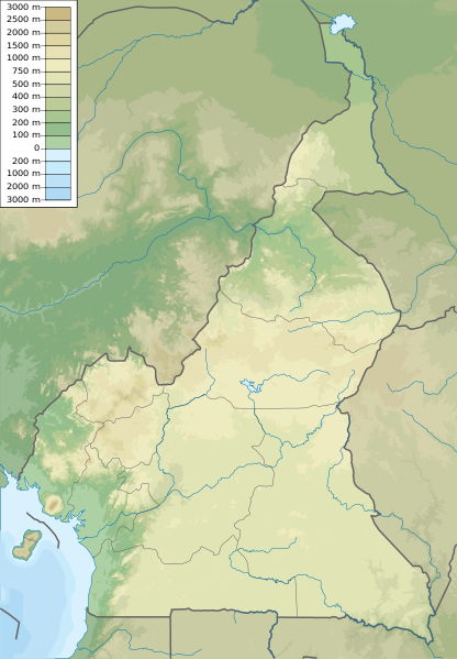 ملف:Cameroon physical map.svg